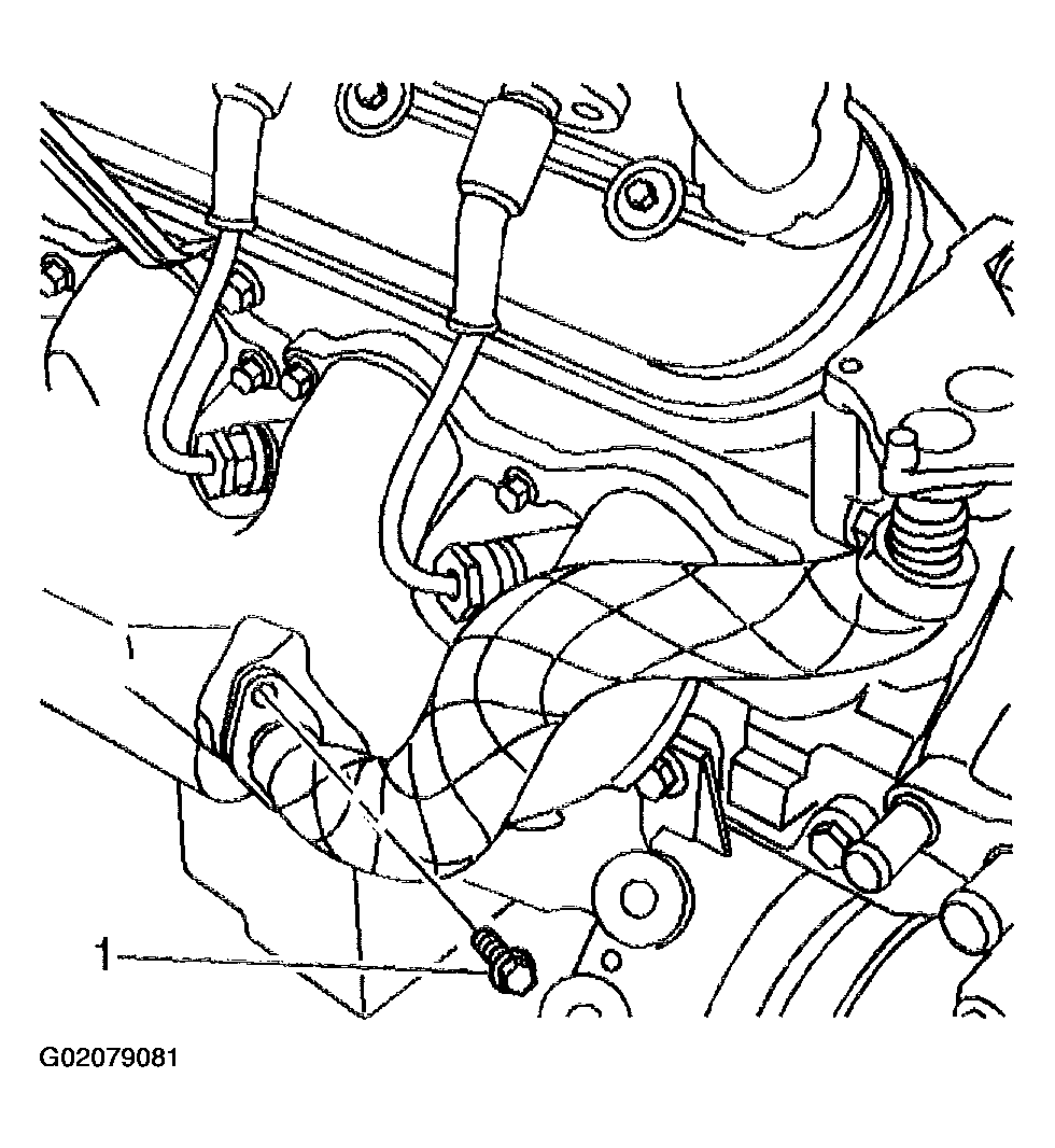 G02079081