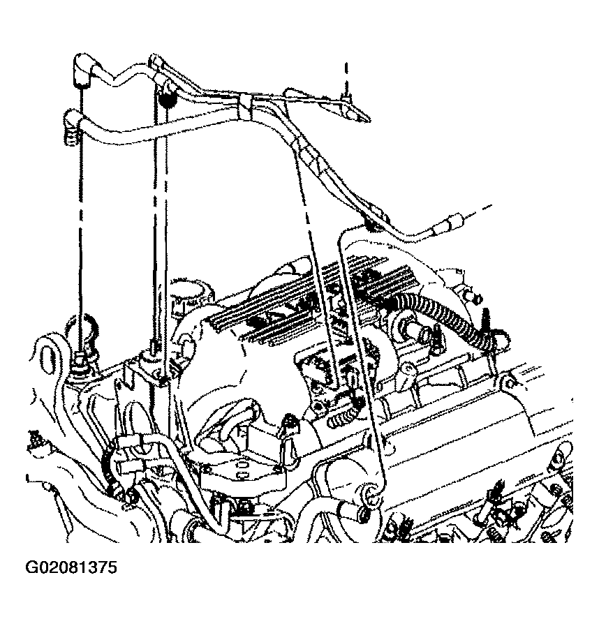 G02081375