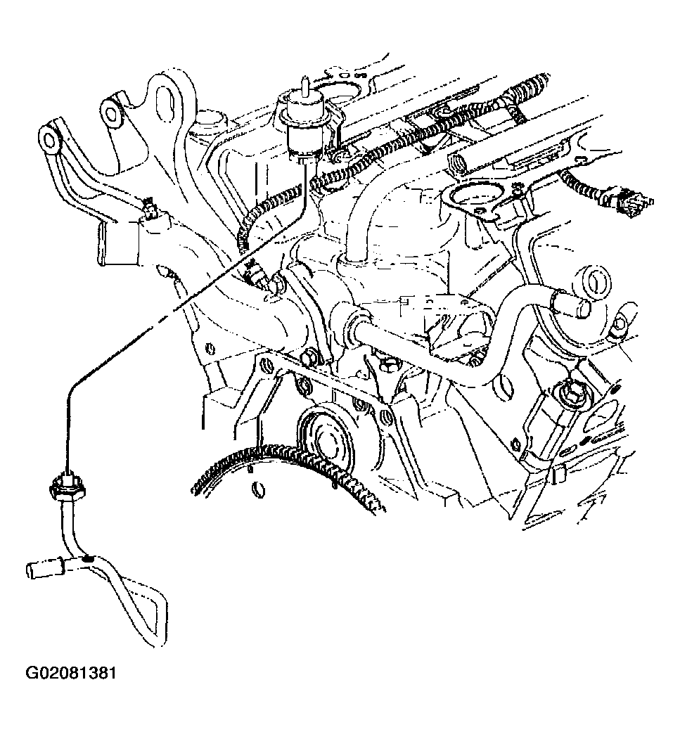 G02081381