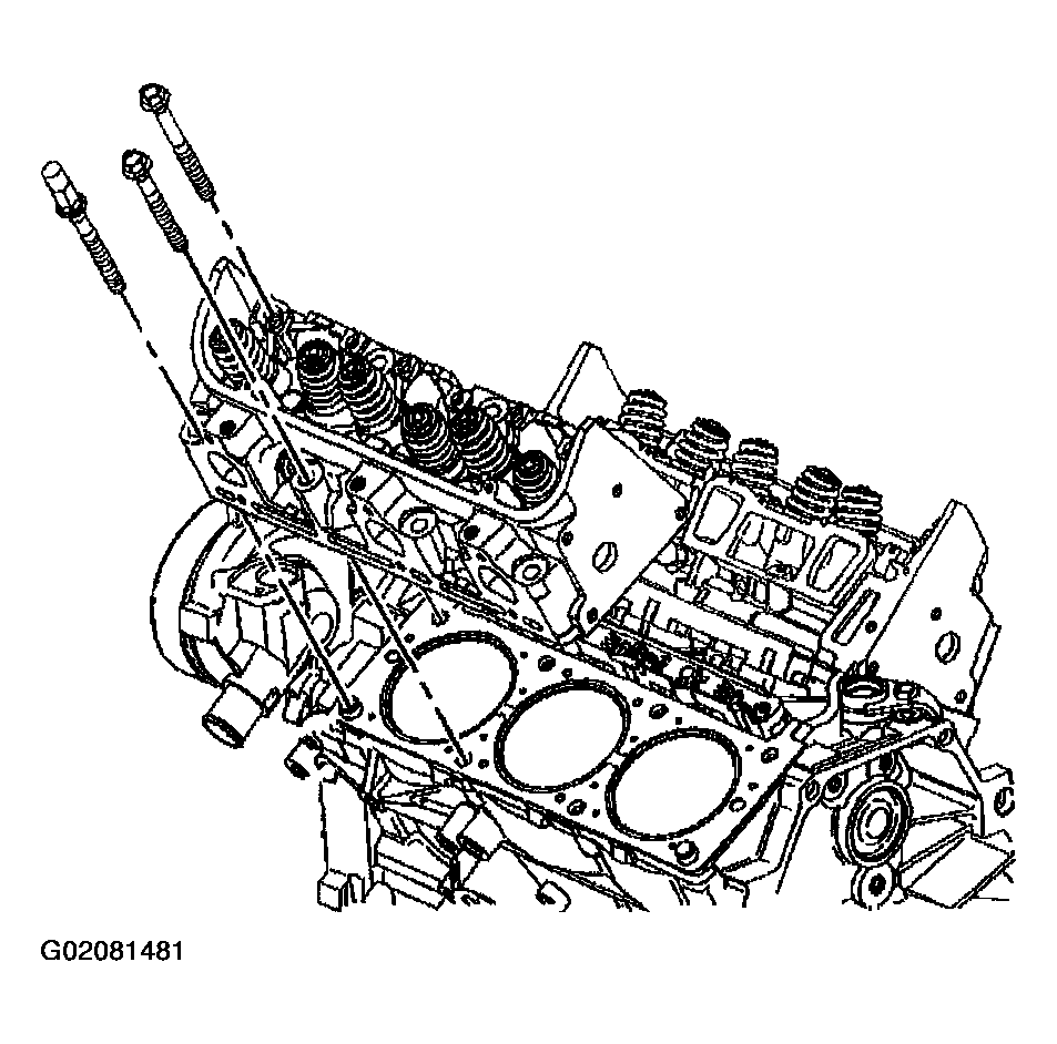 G02081481
