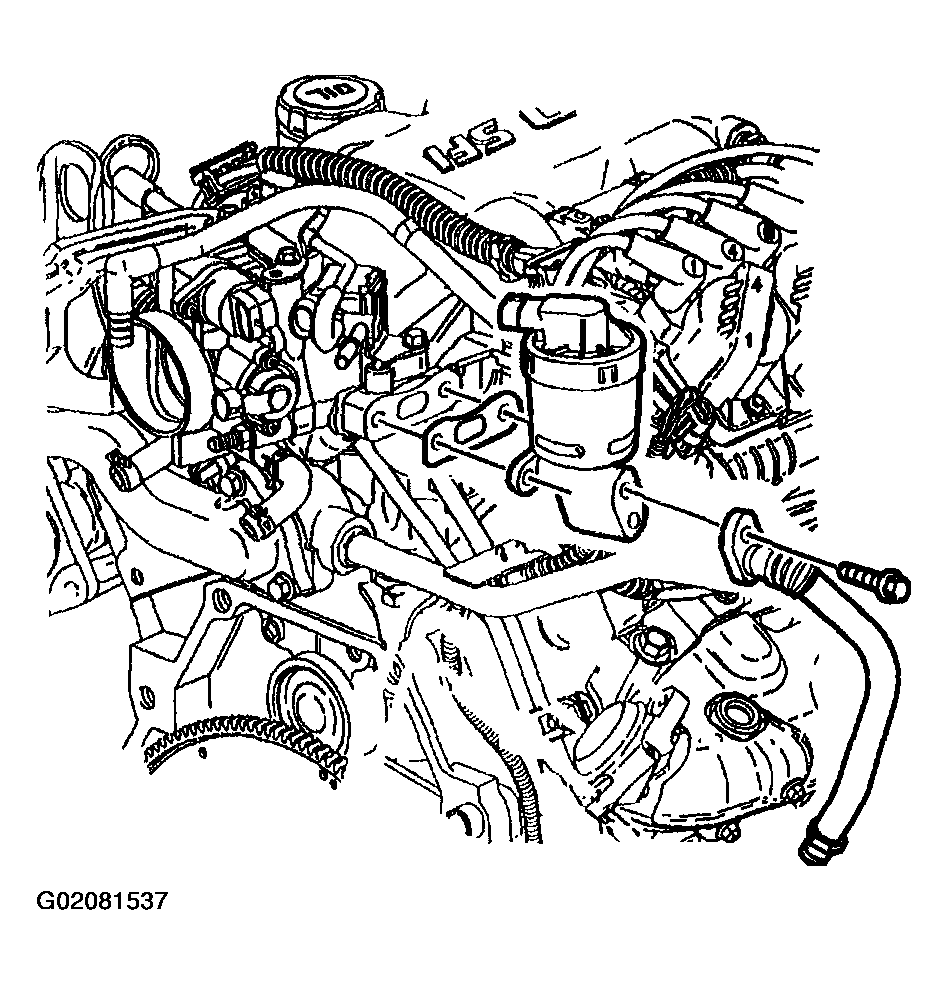 G02081537