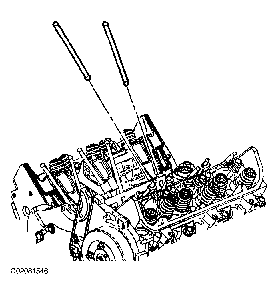 G02081546