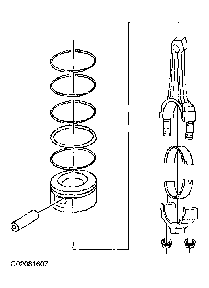 G02081607
