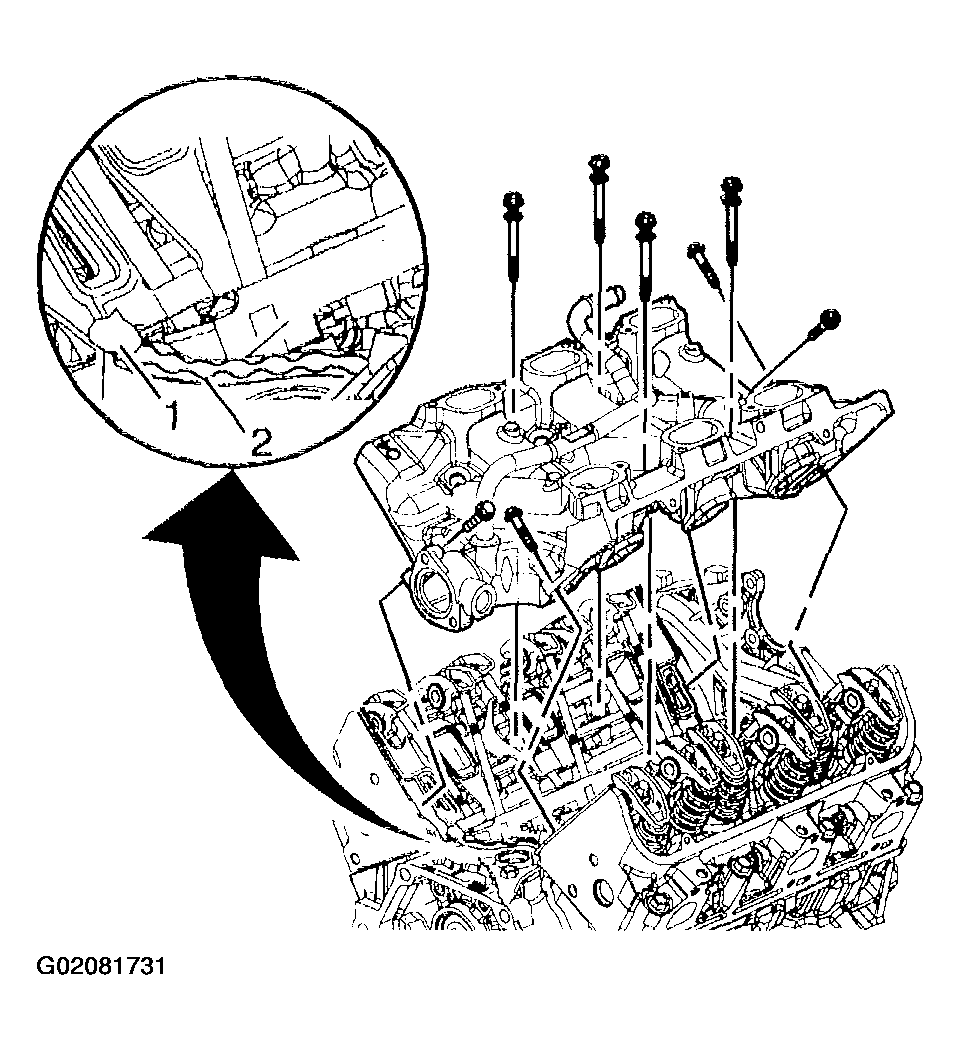 G02081731