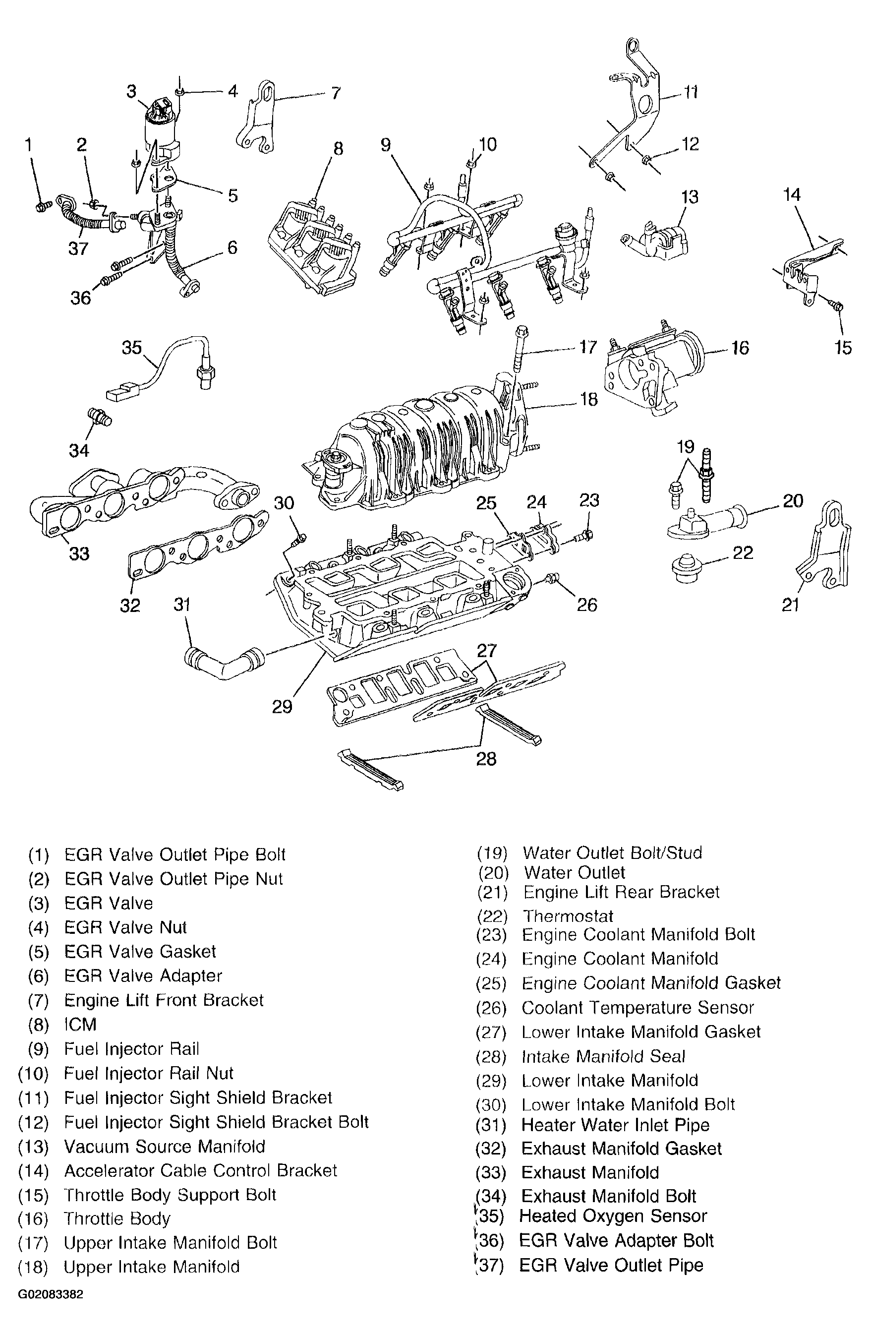 G02083382