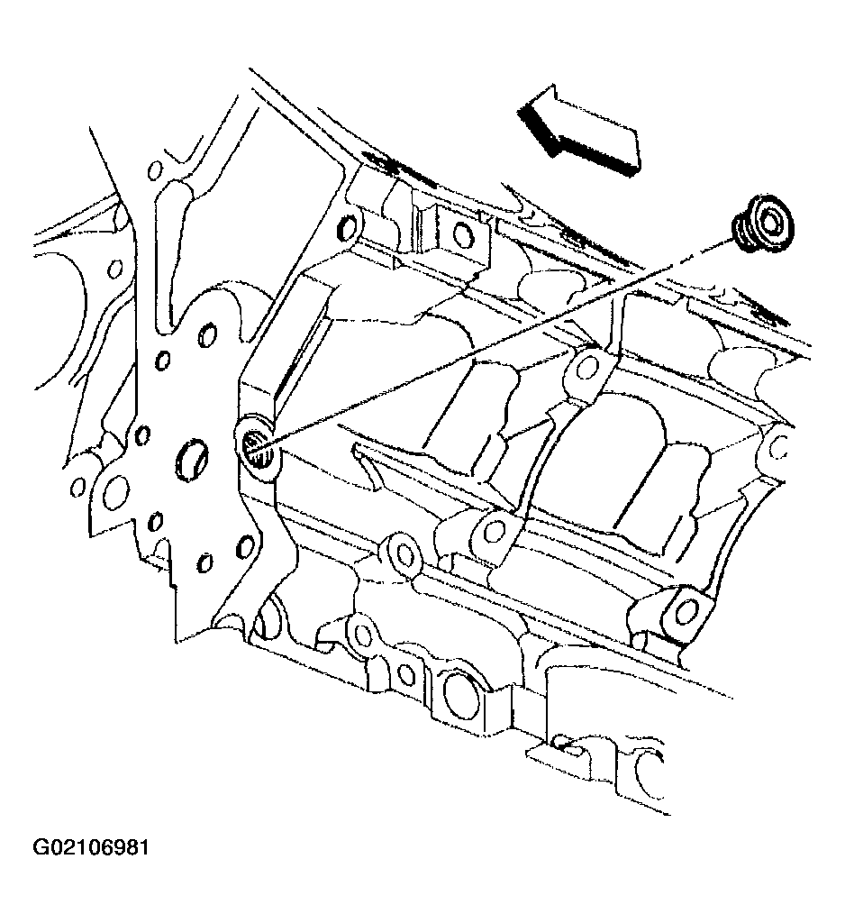 G02106981