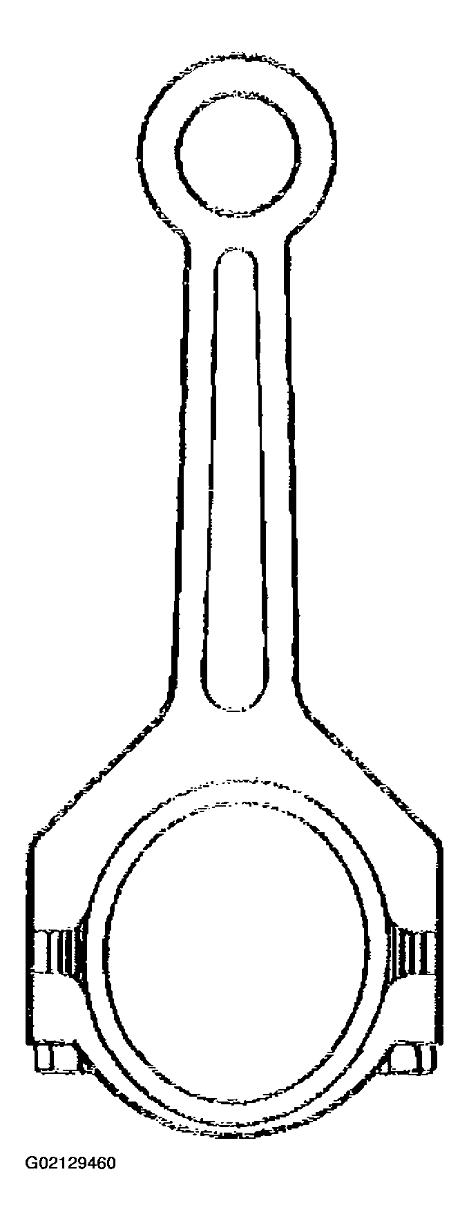 G02129460