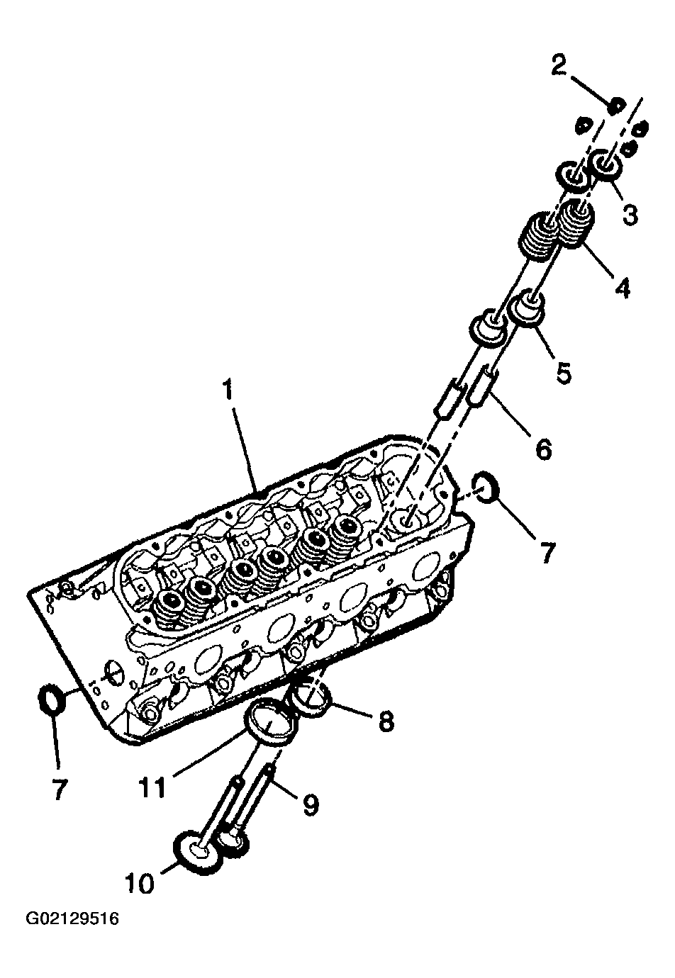G02129516
