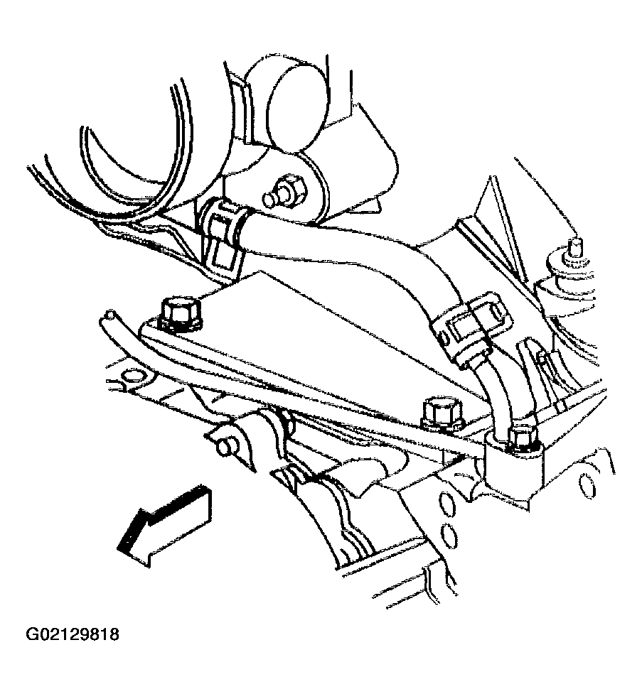G02129818
