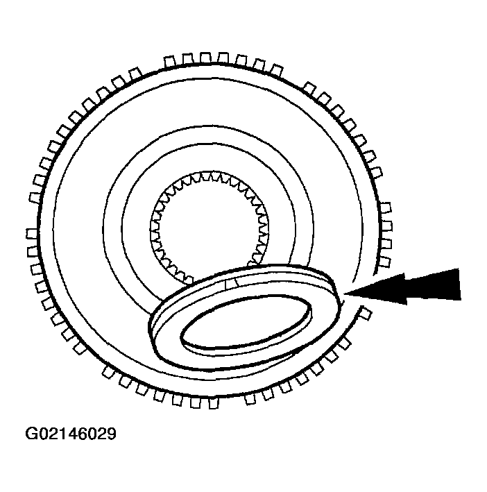 G02146029