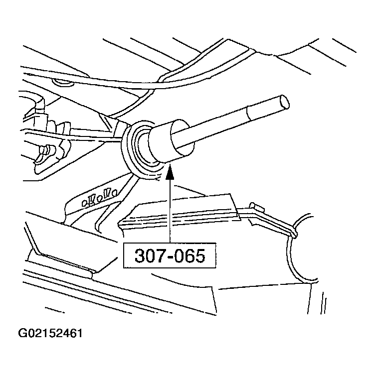 G02152461