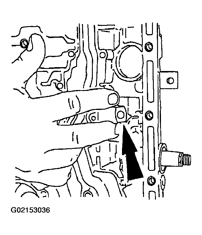 G02153036