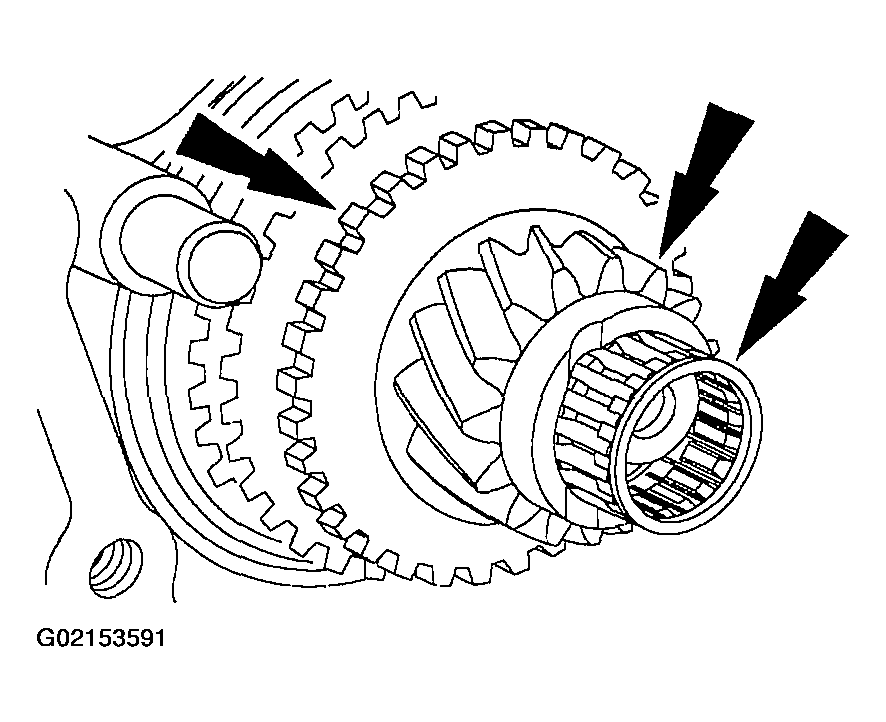 G02153591