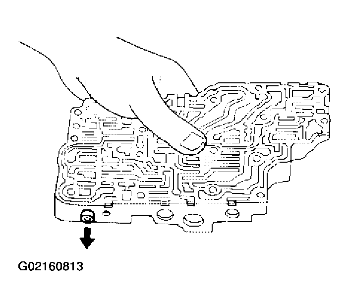 G02160813