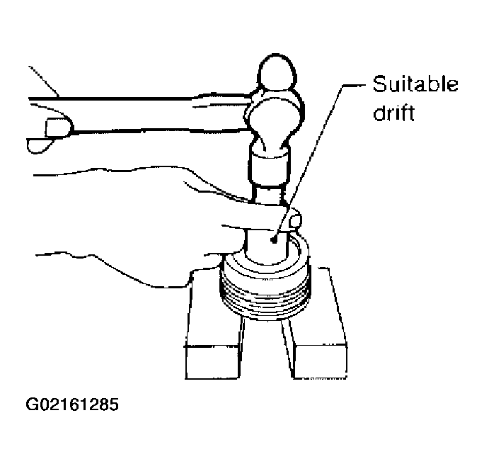 G02161285