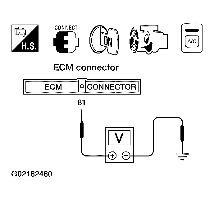 G02162460