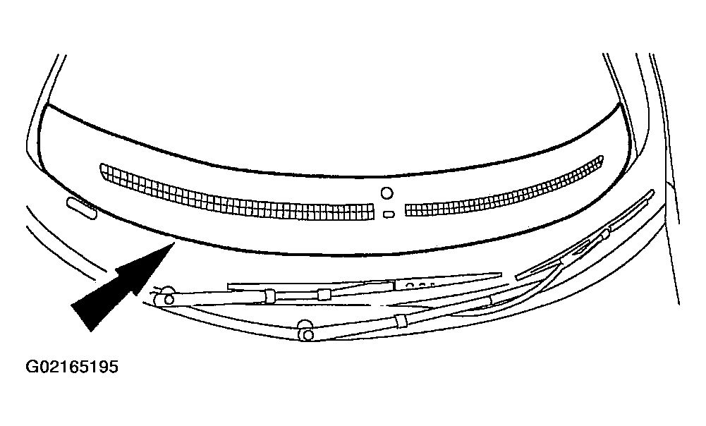 G02165195