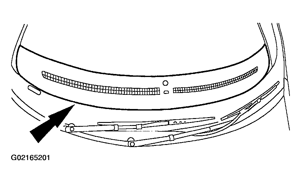 G02165201