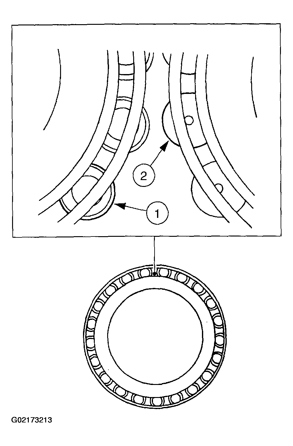G02173213