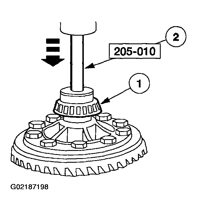 G02187198