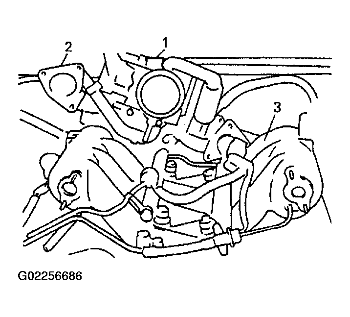 G02256686