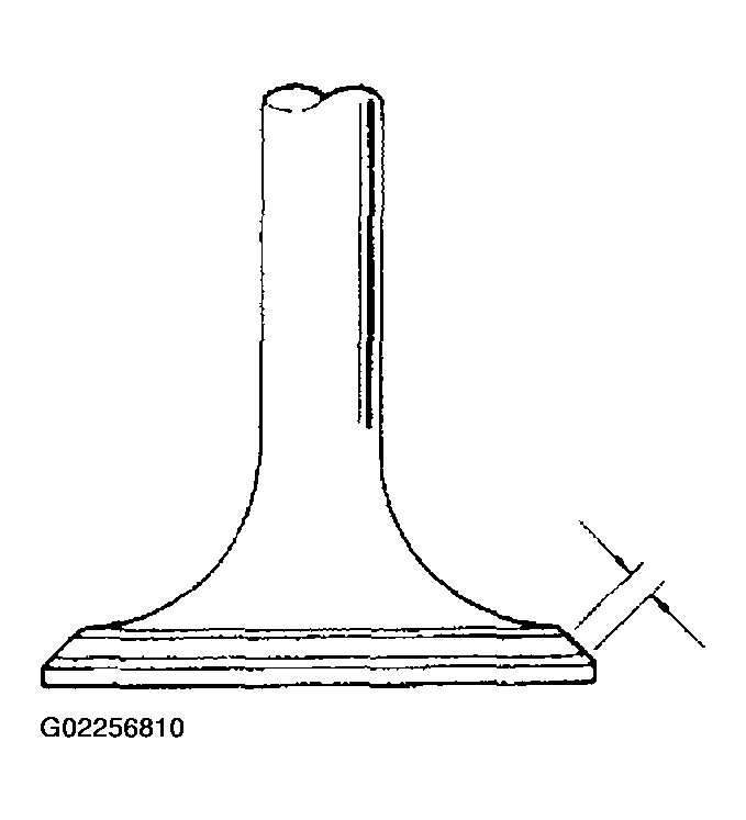G02256810