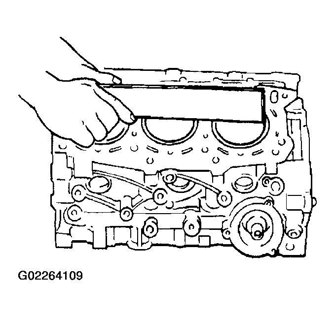 G02264109