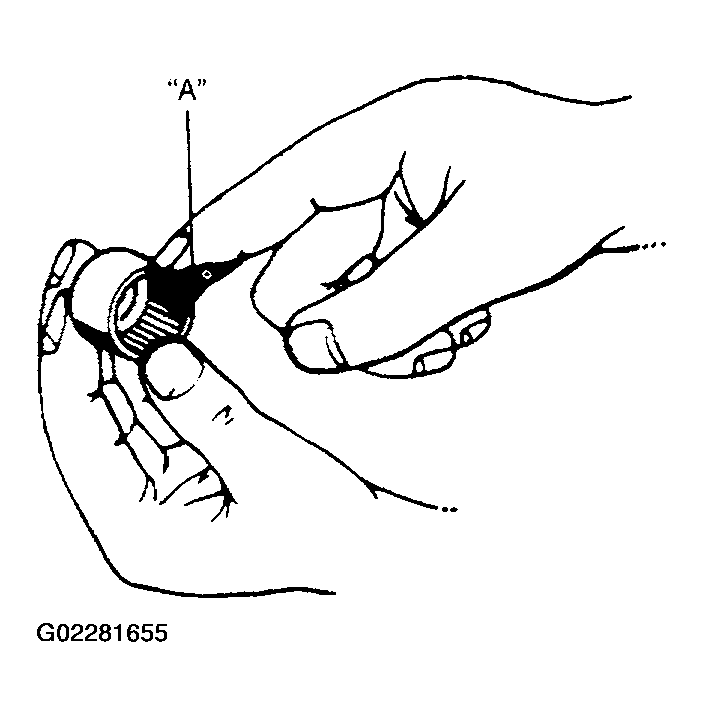 G02281655