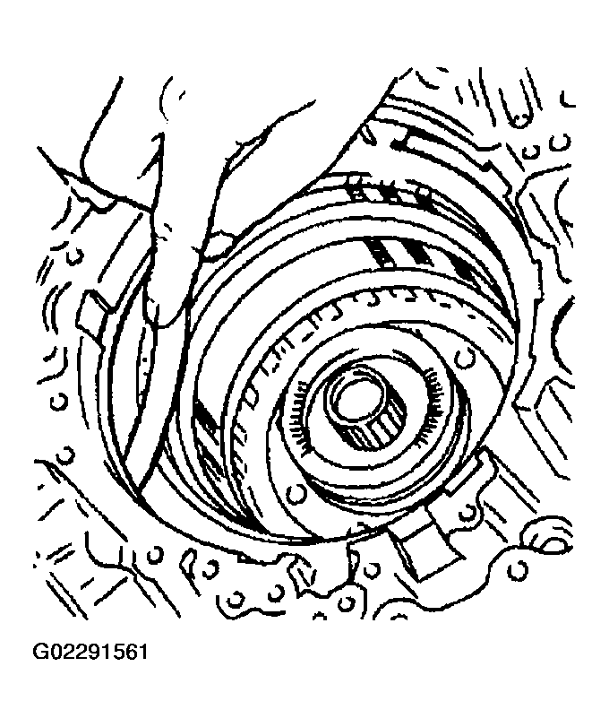 G02291561