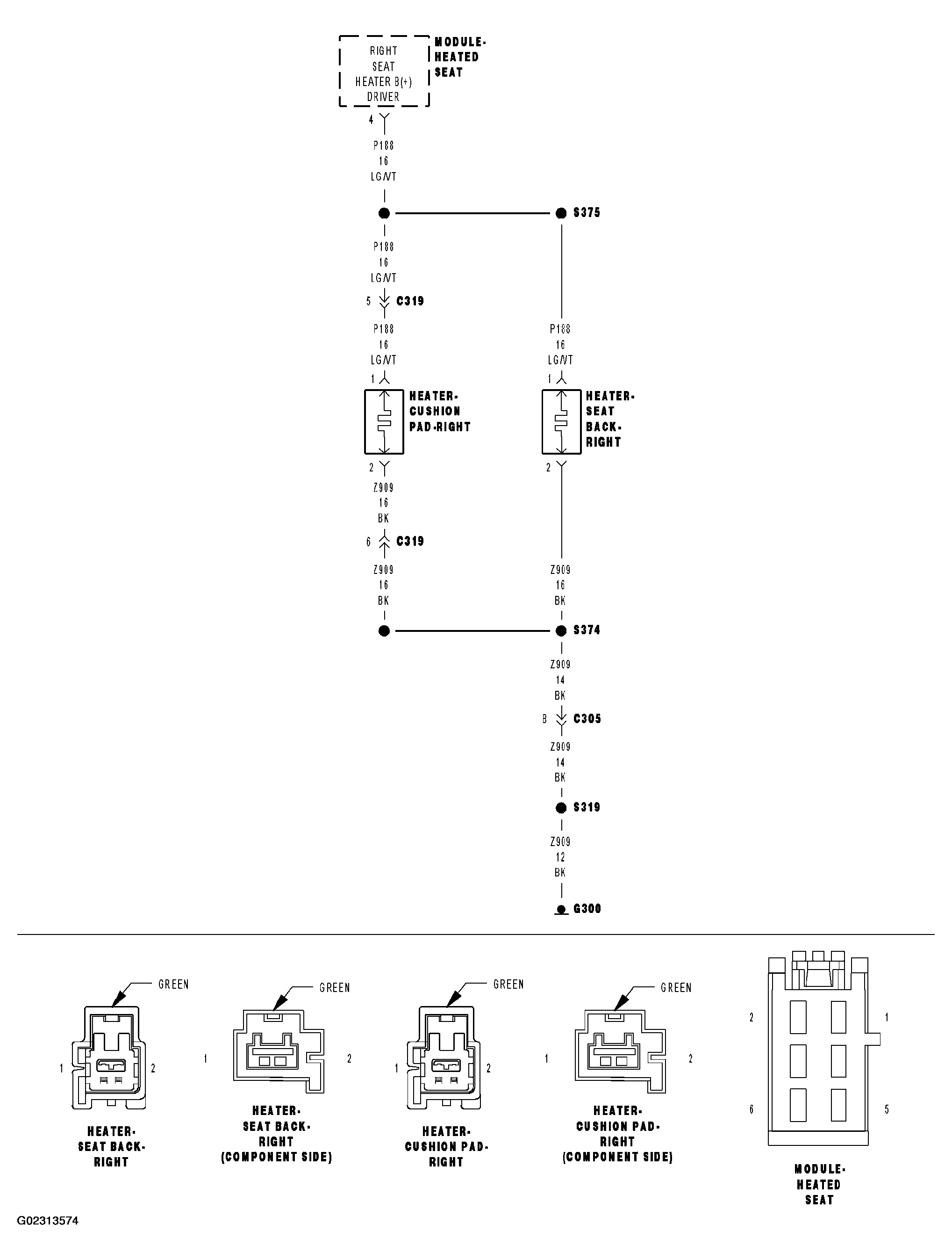 G02313574