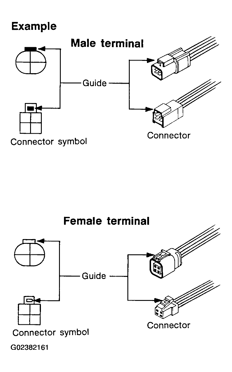 G02382161