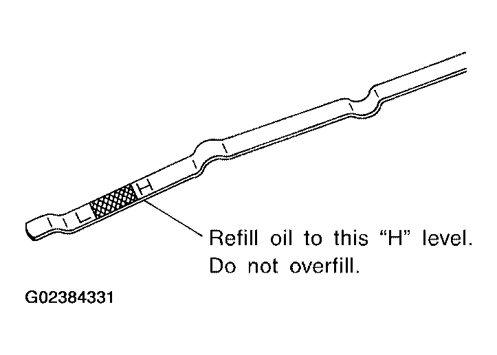 G02384331