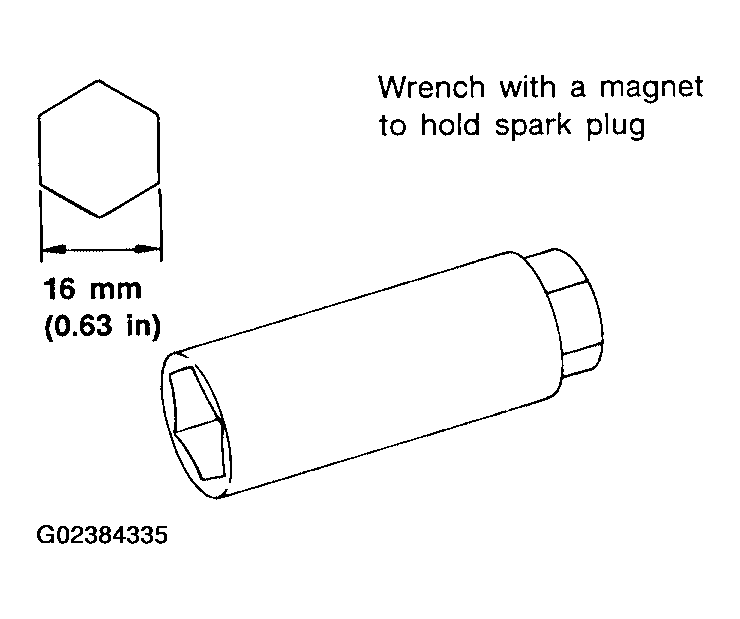 G02384335