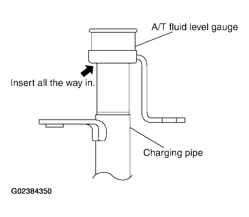 G02384350