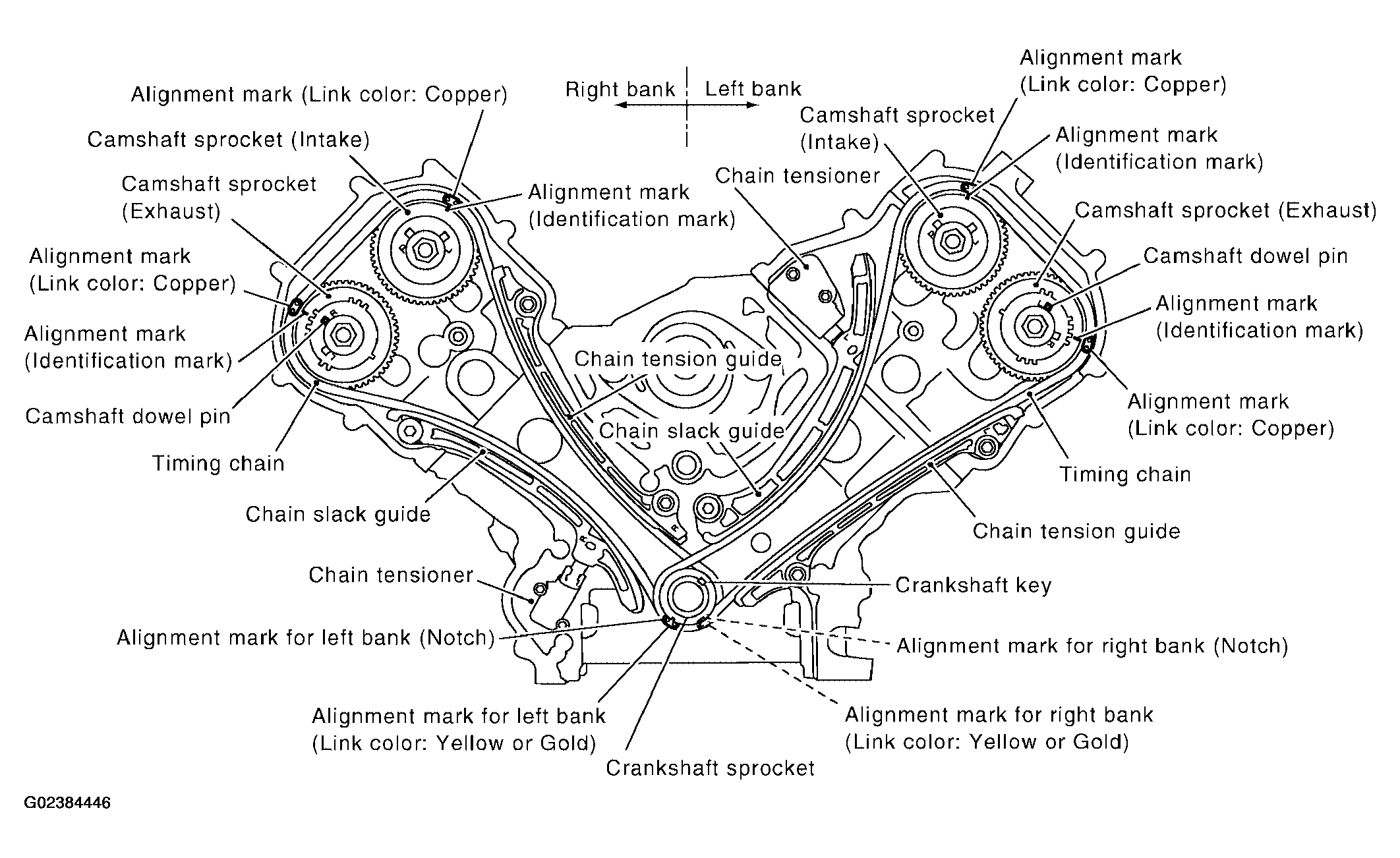 G02384446