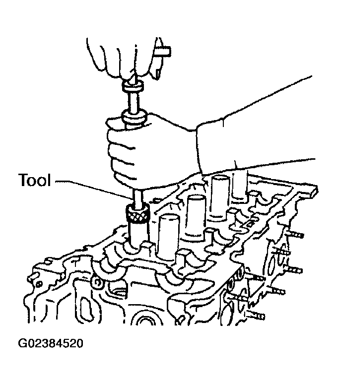 G02384520