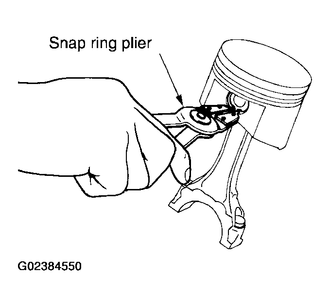 G02384550