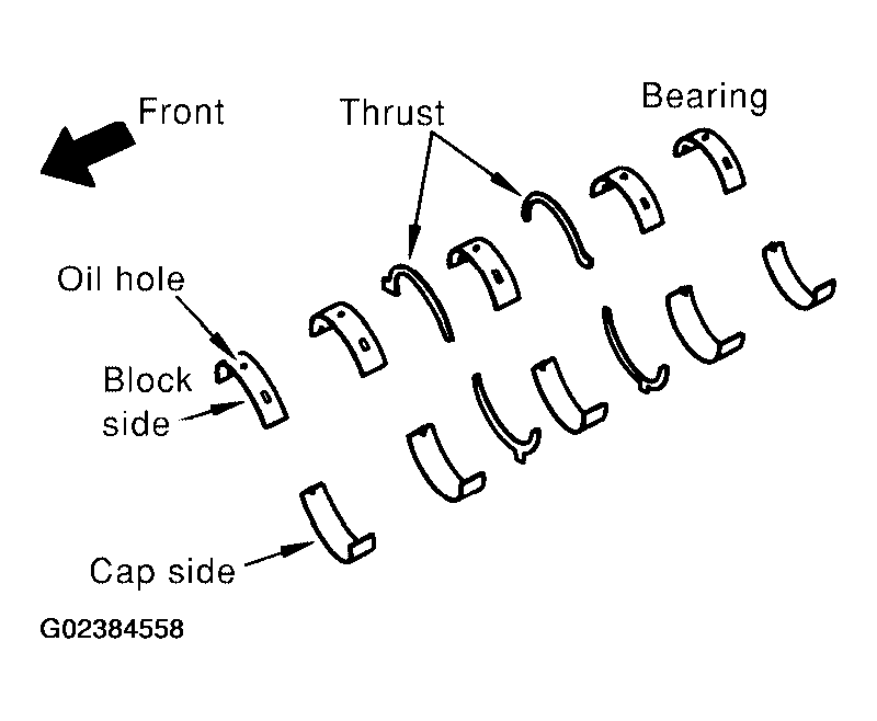 G02384558