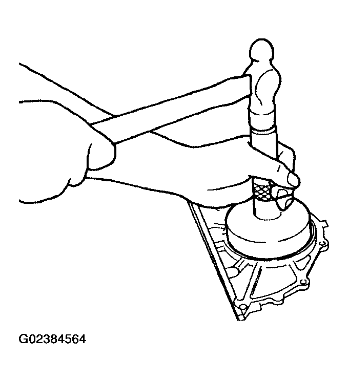 G02384564