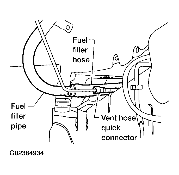 G02384934