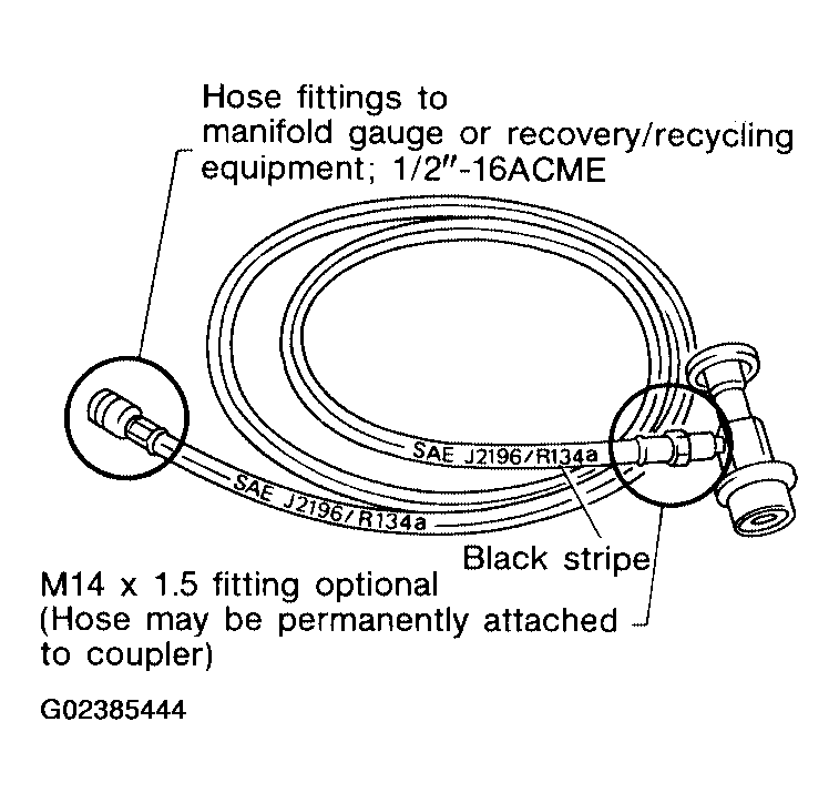 G02385444