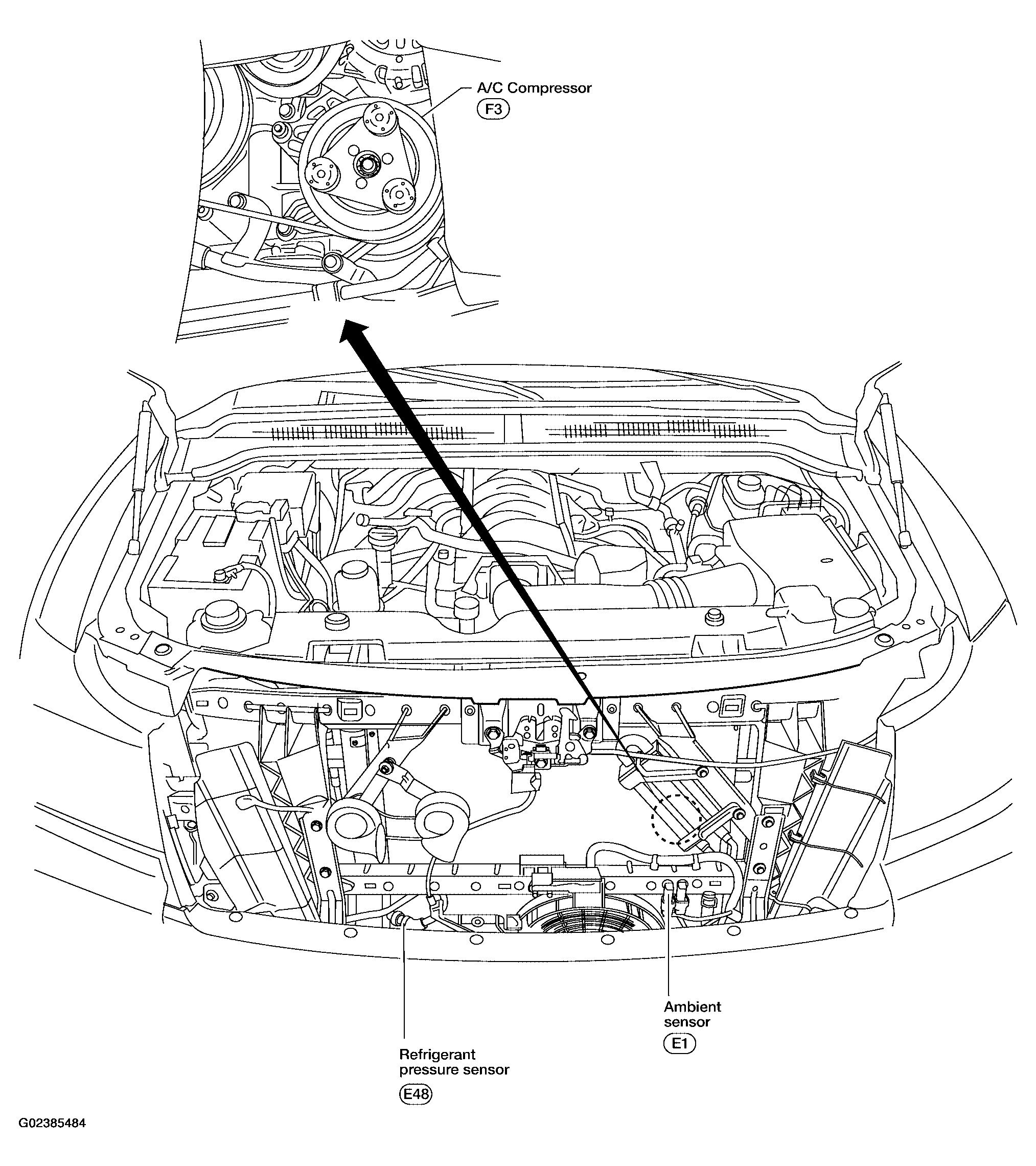 G02385484
