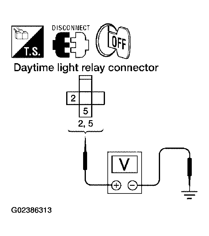 G02386313