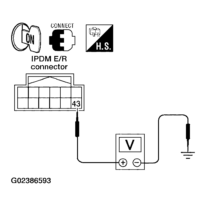 G02386593