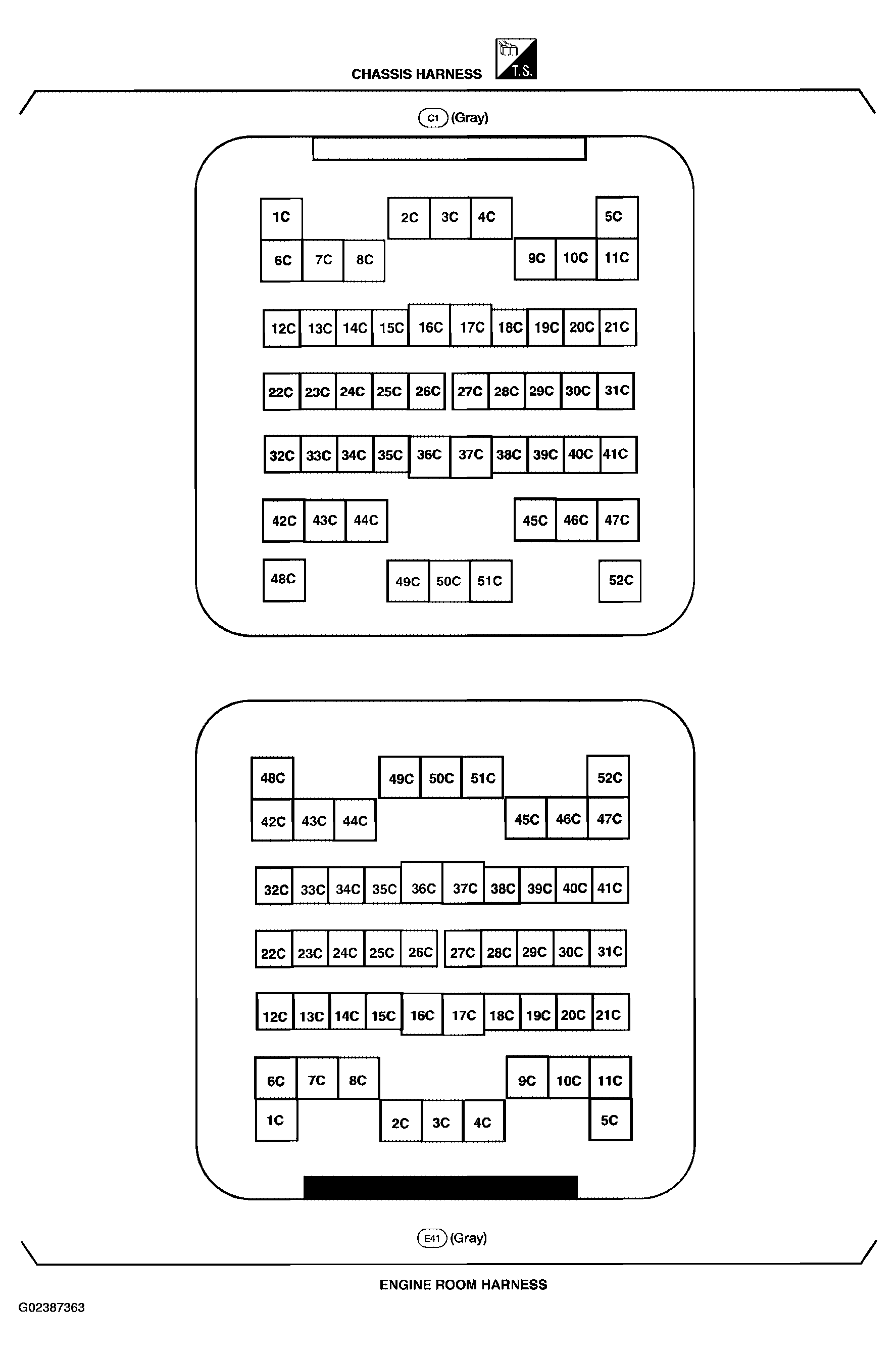 G02387363