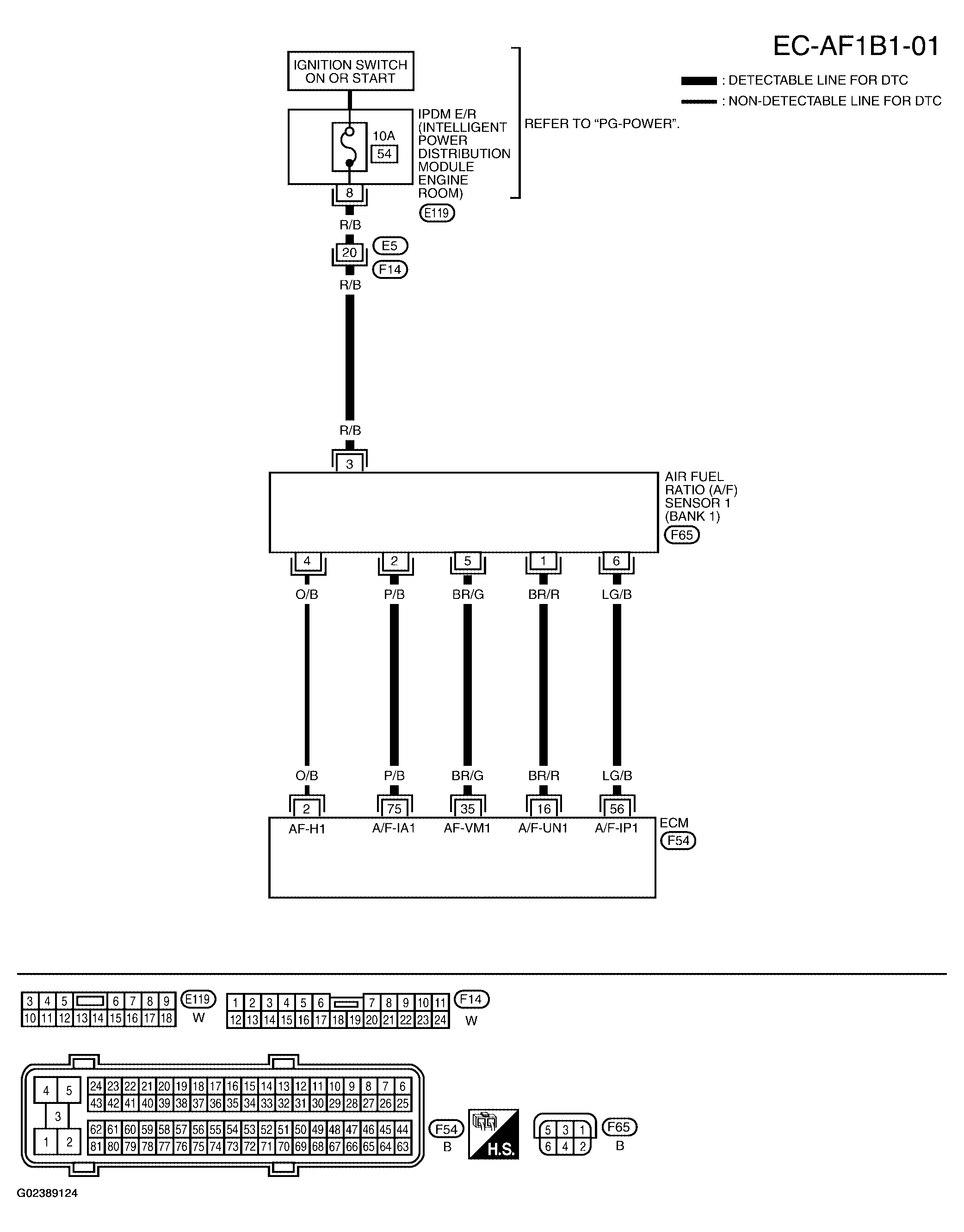 G02389124