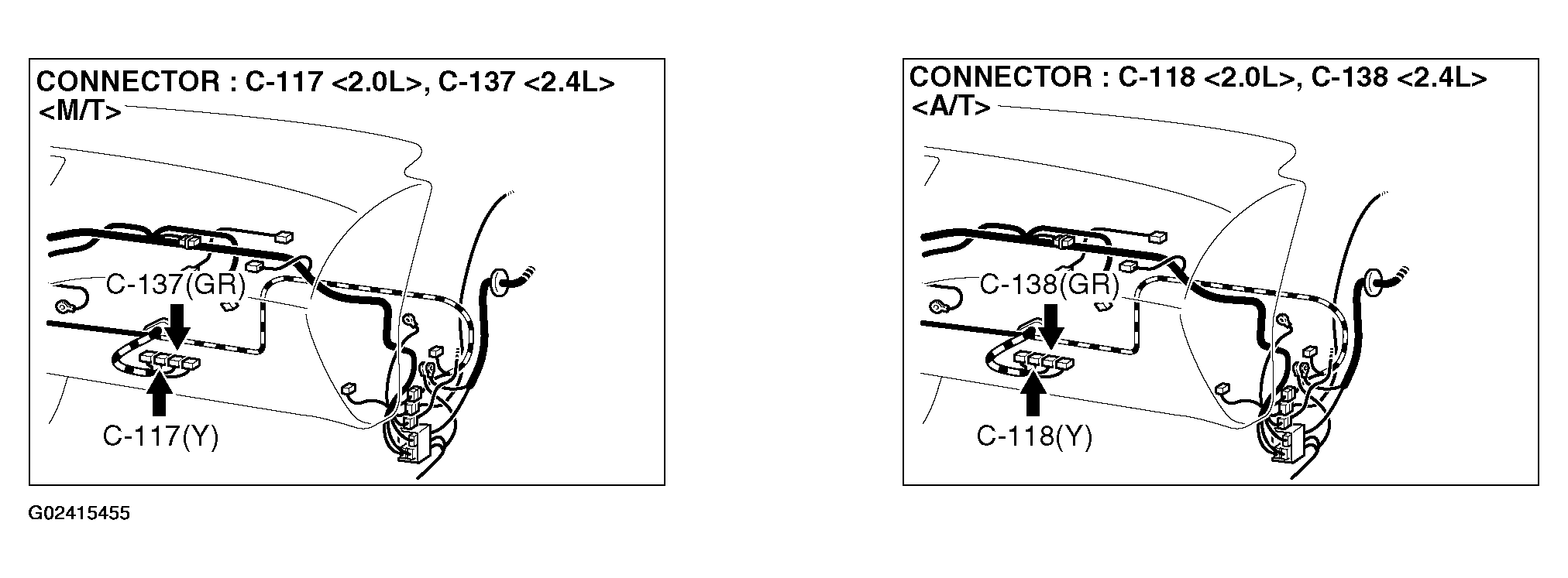 G02415455