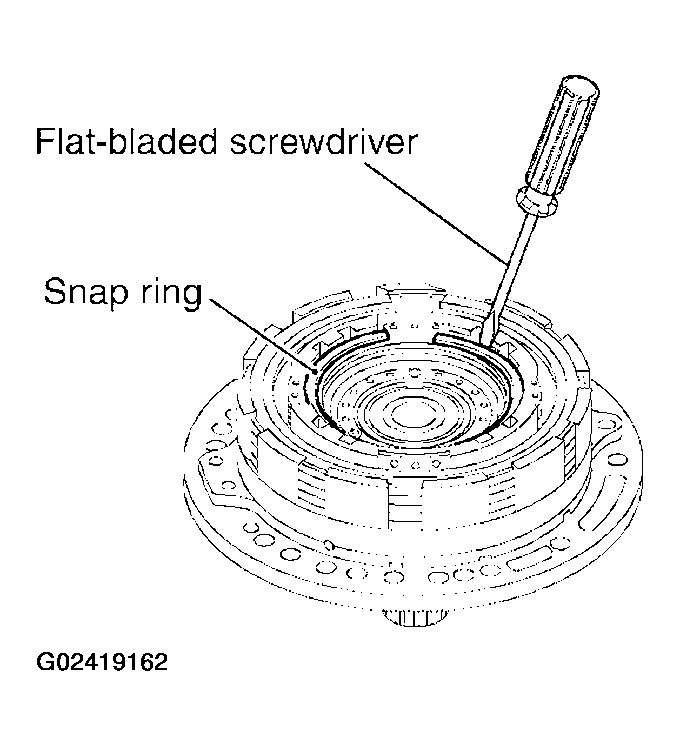 G02419162