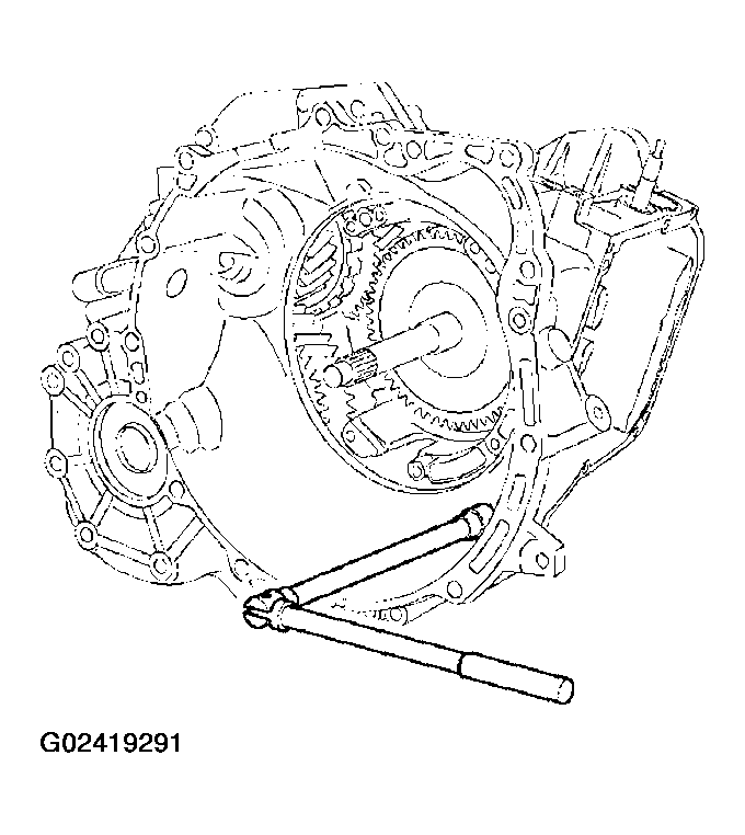 G02419291