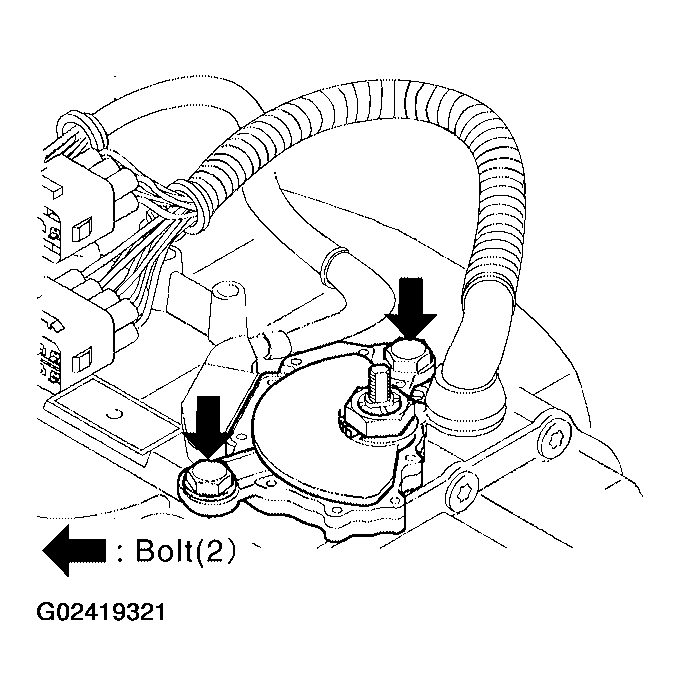 G02419321